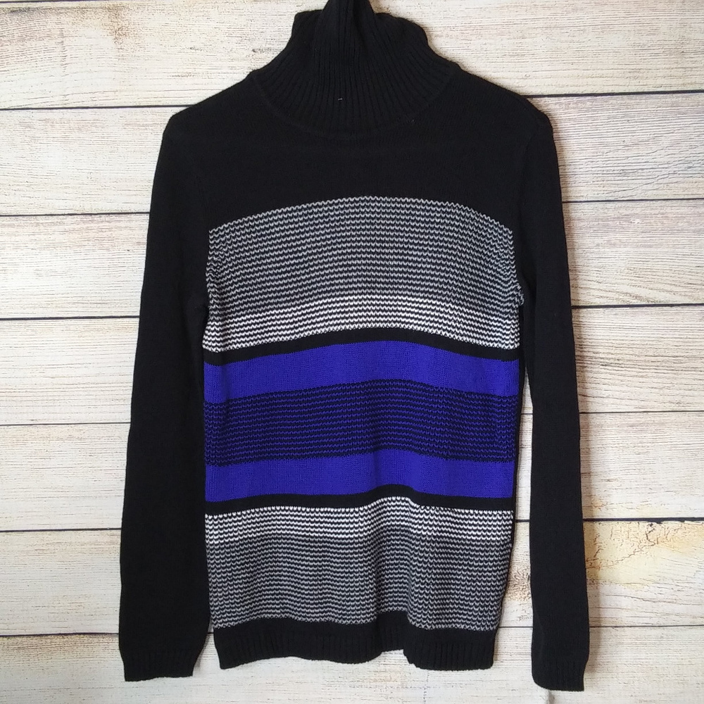 Karen Scott Petite Small Color Block LS Turtleneck